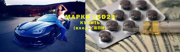 прущие грибы Абаза