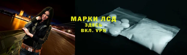 прущие грибы Абаза
