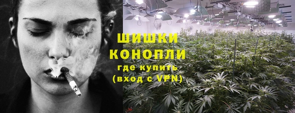 прущие грибы Абаза
