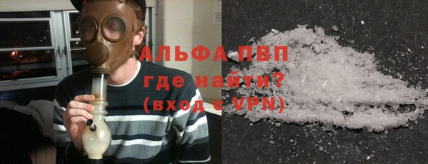 прущие грибы Абаза